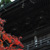 鎌倉写真「文化」